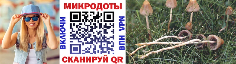 Галлюциногенные грибы прущие грибы  Княгинино 
